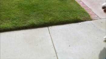 Christmas Mail (2010) download