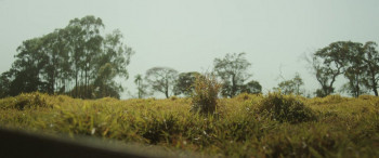 Chuck Billy and the Marvelous Guava Tree (2024) download