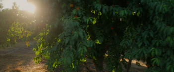 Clika (2026) download