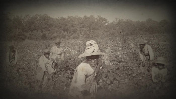 Clotilda: The Return Home (2024) download