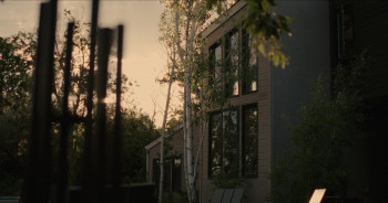 Come See Me in the Good Light (2025) download