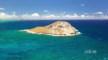 Congress and Cali (2022) download