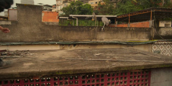 Corrida dos Bichos (2026) download
