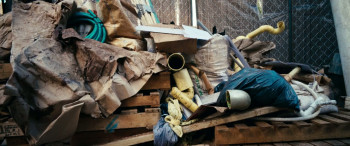 Coyotes (2025) download