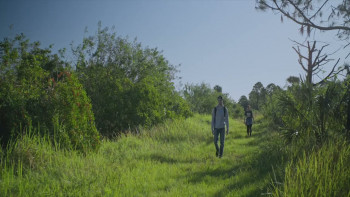 Creeper in the Woods (2025) download