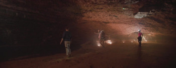 Crocodile Swarm (2023) download