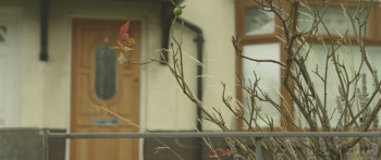 Cruel Summer (2016) download