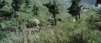 Dao huang ling (1973) download