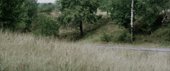 Daravela (2024) download