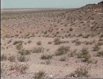 Dark Harvest (1992) download