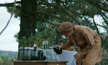Dead Bloom (2026) download