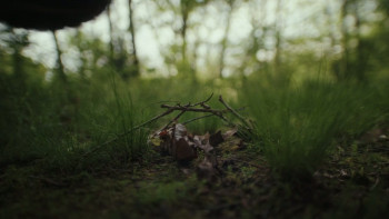 Dead Girl Summer (2025) download