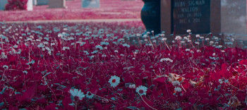 Deadly Dealings (2022) download