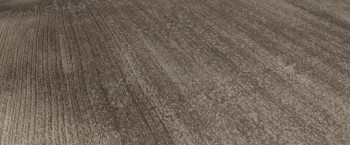 Death Hunt (2022) download