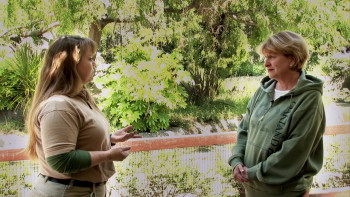 Death Makes Life Possible (2015) download