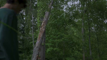 Death Orchard (2026) download