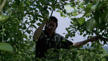 Death Orchard (2026) download