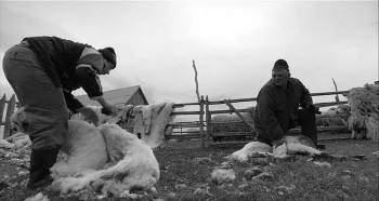 Dem Himmel ganz nah (2010) download