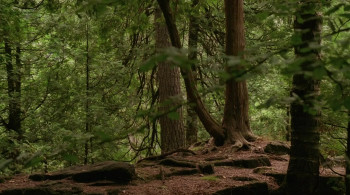 Descent (2005) download