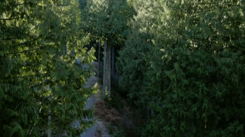 Desire: A Temptation Story (2025) download