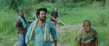 Dhandoraa (2025) download