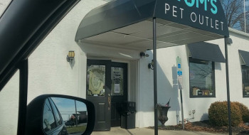 Dogspiracy (2025) download