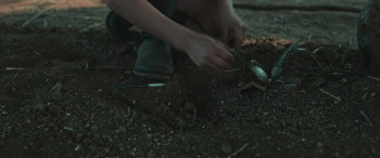 Don't Let's Go to the Dogs Tonight (2024) download