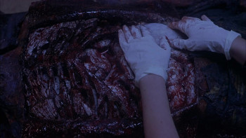 Dracula II: Ascension (2003) download