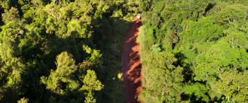 El último gigante (2026) download