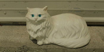 Everything & the Universe (2025) download