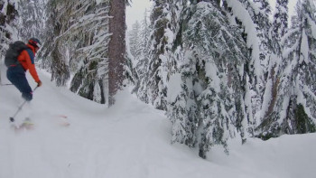 Far Out (2018) download