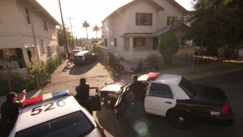 Fatal Instinct (2014) download