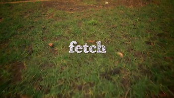 Fetch (2011) download
