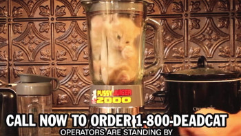 Fingerlakes Grindhouse Presents: Till Death Do Us Part (2021) download