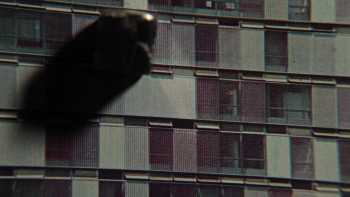 Five Days Till Tomorrow (2022) download