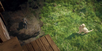 Flow (2024) download