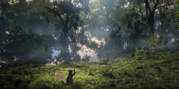 Flow (2024) download