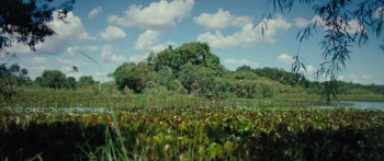 Flowers of the Earth (2026) download