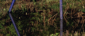 For My Daughter's Honor (1996) download