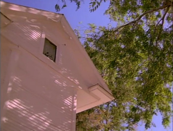 Friendship's Field (1995) download