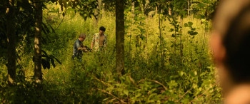 Full Moon (2025) download