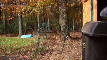 Fursonas (2016) download