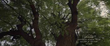 Gandhi Tatha Chettu (2025) download