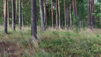 Generasjon Utøya (2021) download