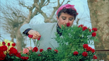 Girgiriye'de Cümbüs (1983) download