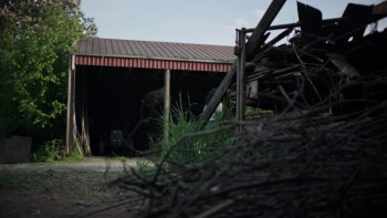 Girl in the Cellar (2025) download