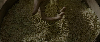 Gladiator II (2024) download