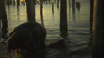 Glory at Sea (2008) download