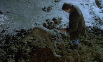 Golem, the Spirit of the Exile (1992) download