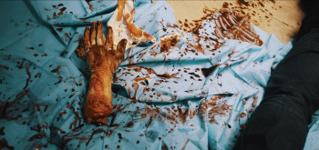 Gone with the Dead (2024) download